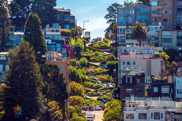 San Franciscoda Gezilecek Yerler Nerelerdir?