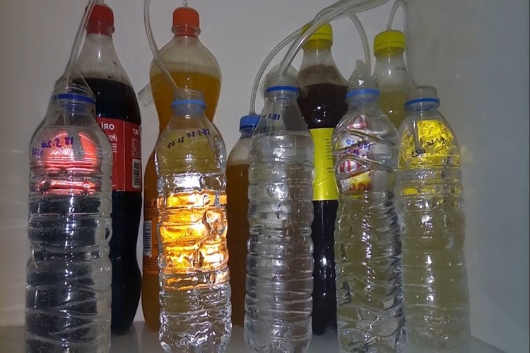 Şaraba Kola Katılır Mı?