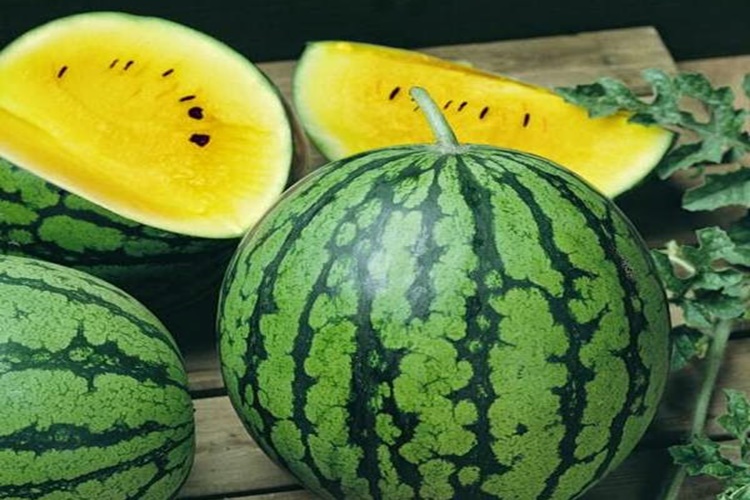 Sarı Karpuz Faydaları Nelerdir?