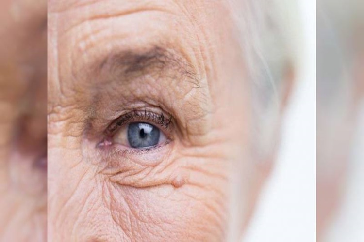 Sarı Nokta Hastalığı Vitamini Nedir?