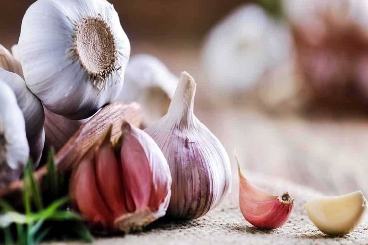 Sarımsak Bebeklere Ne Zaman Verilir?