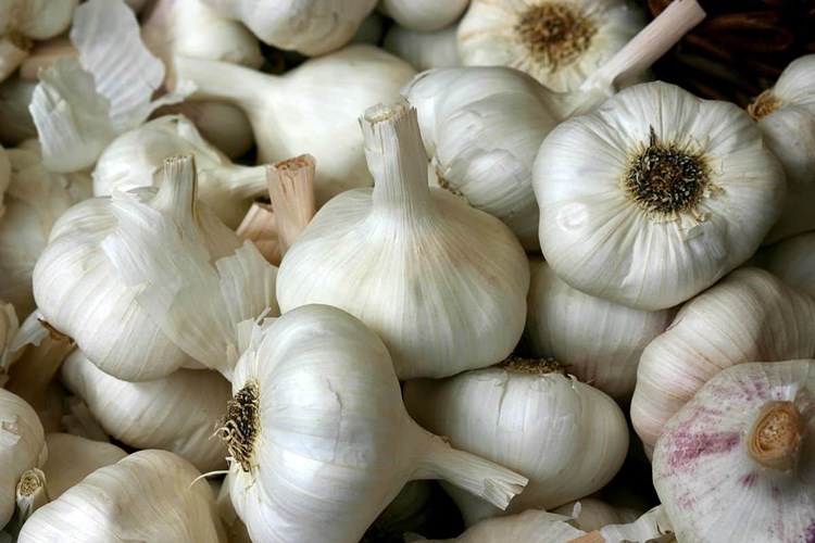 Sarımsak Gut Hastalığına İyi Gelir Mi?