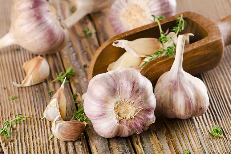 Sarımsak Uyuşturur Mu?