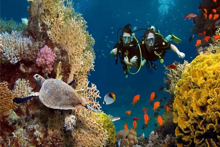 Scuba Diving İçin Yüzme Bilmek Gerekir Mi?