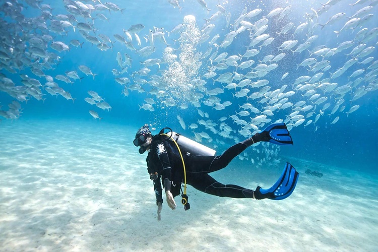Scuba Diving Nedir?