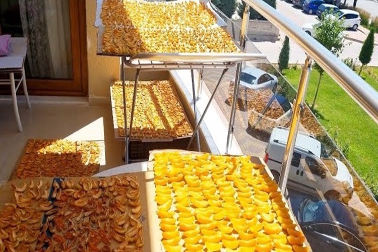 Şekerpare Kayısı Nasıl Kurutulur?