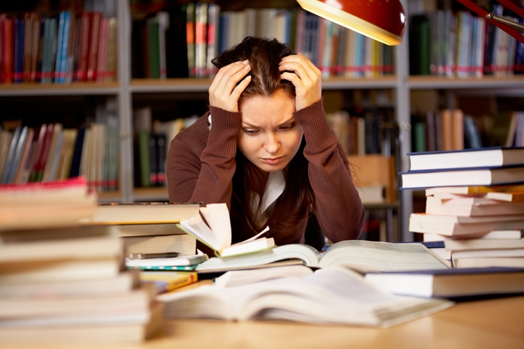 Sembolik Mantığın Alt Dalları Nelerdir?