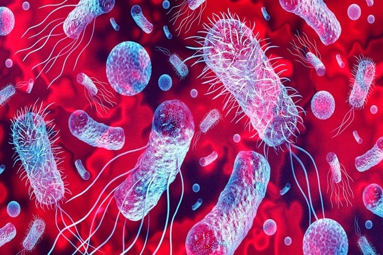 Sepsis İyileşir Mi?