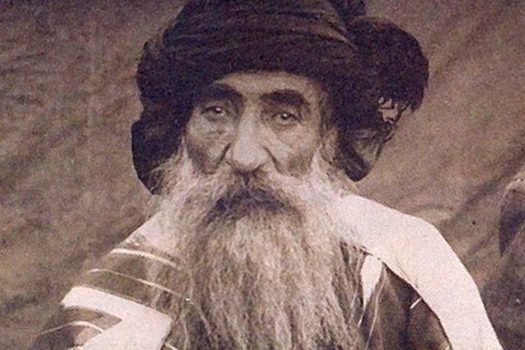 Seyyid Rıza Neden Asıldı?