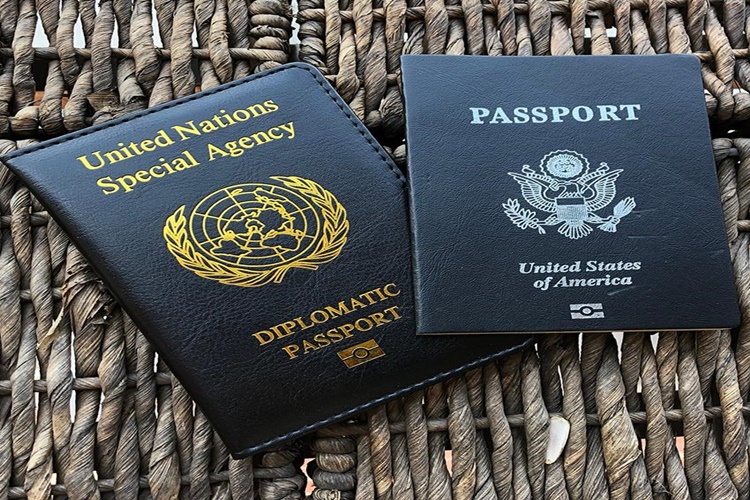 Siyah Pasaport Ne İşe Yarar?