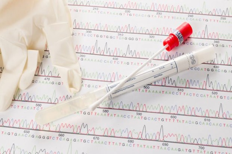 Smear Testi Acı Verir Mi?