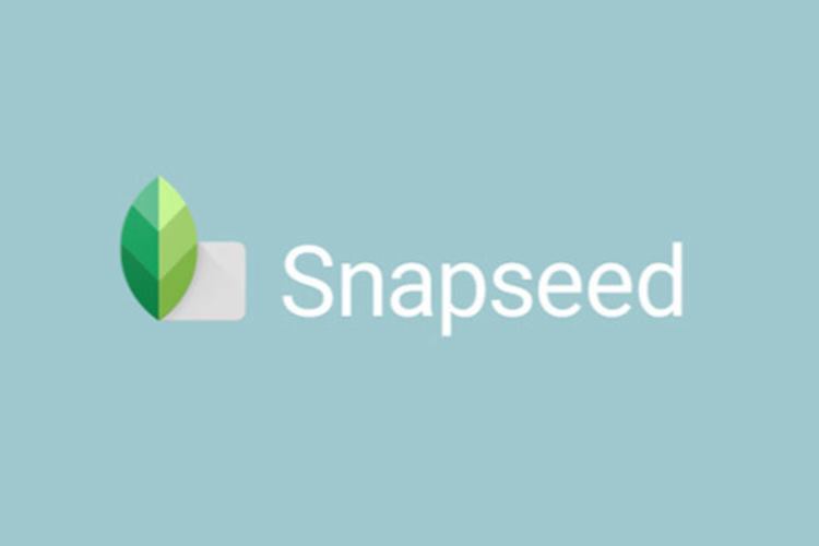 Snapseed Ne İşe Yarar?