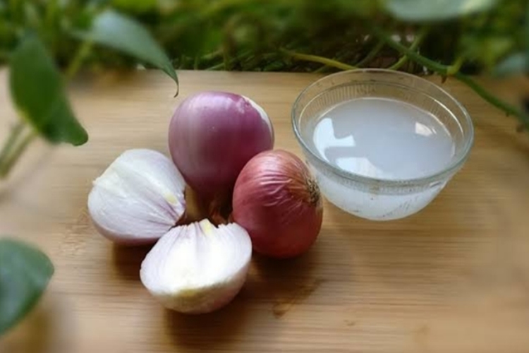 Soğan Suyu Bitkilere İyi Gelir Mi?