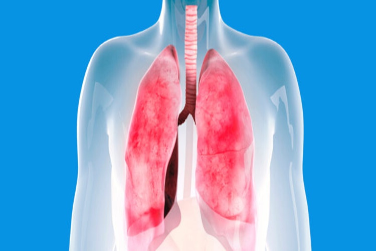Solunum Sisteminin Sağlığını Korumak İçin Yapılması Gerekenler Nelerdir?