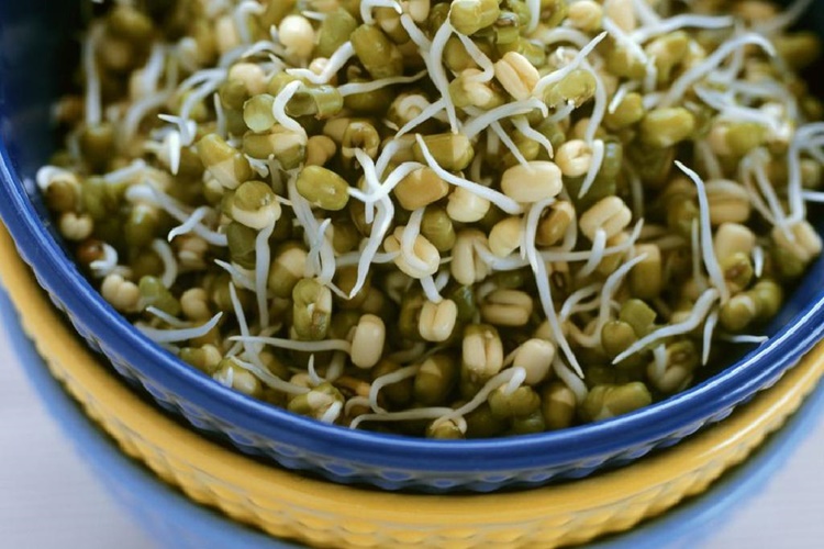 Soya Filizi Haşlanır Mı?