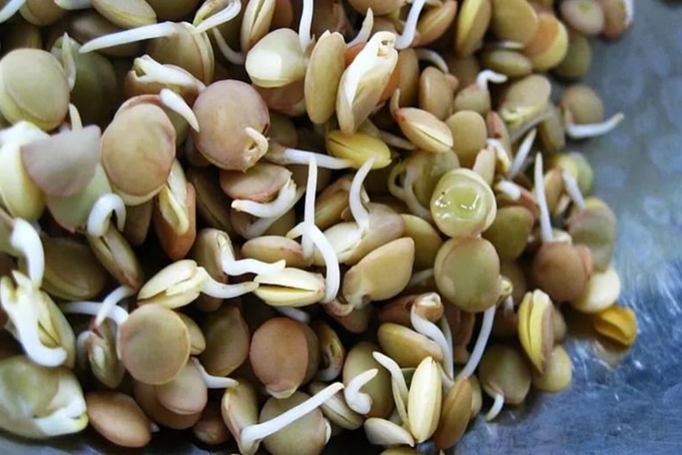 Soya Filizi Nasıl Pişirilir?