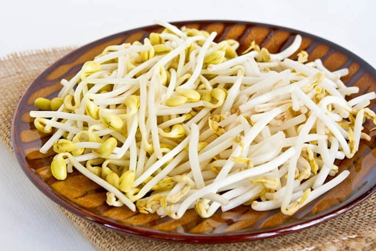 Soya Filizi Zayıflatır Mı?