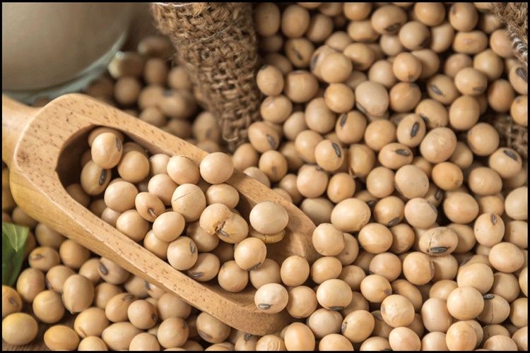 Soya Fıstığı Nasıl Yapılır?
