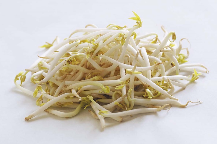 Soya FSoya Filizi Nasıl Ayıklanır?ilizi Faydaları Nelerdir?