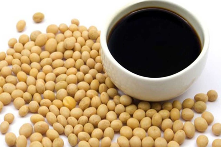 Soya Sosun Besin Değeri Kaçtır?