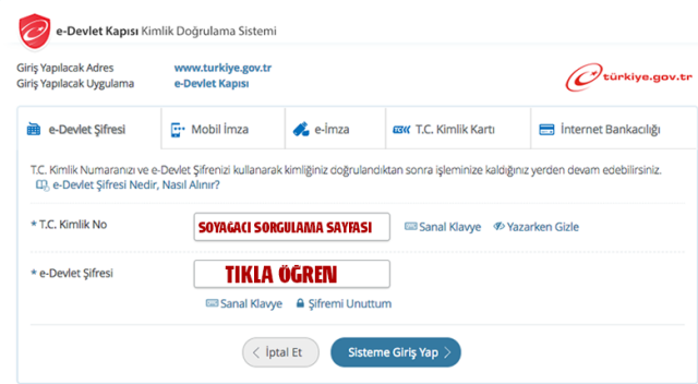 Soyağacı Nasıl Bulunur?