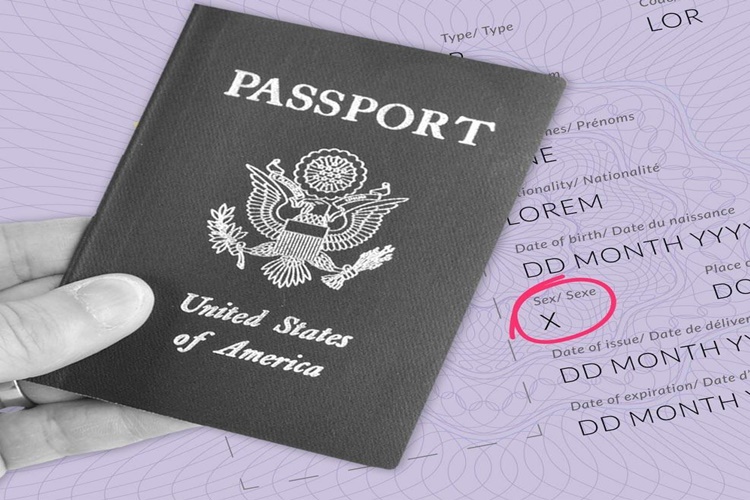 Sözleşmeli Personel Gri Pasaport Alabilir Mi?