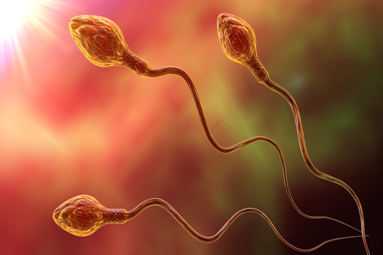 Sperm Basura İyi Gelir Mi?