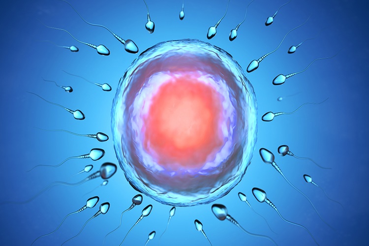 Sperm Hissedilir Mi?