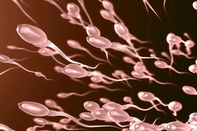 Sperm Kirli Midir?