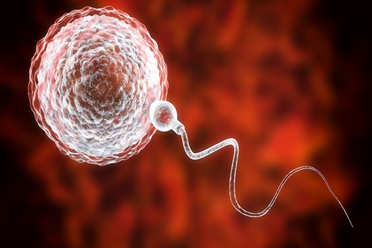 Sperm Köpürür Mü?