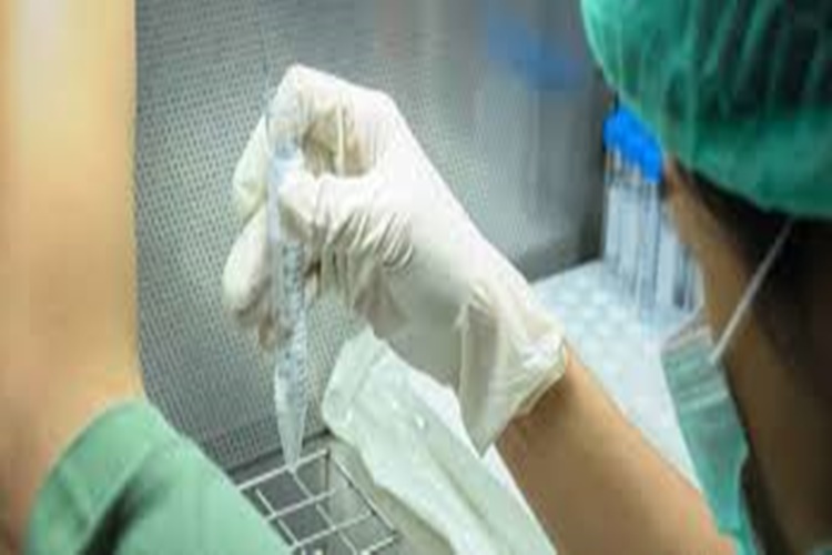 Sperm Testi Nasıl Yapılır?