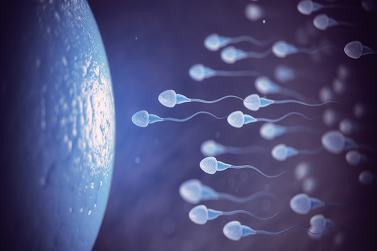 Spermde Lökosit Gebeliğe Engel Mi?
