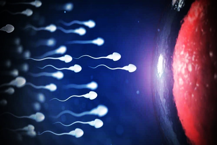 Spermde Lökosit Nasıl Düşürülür?