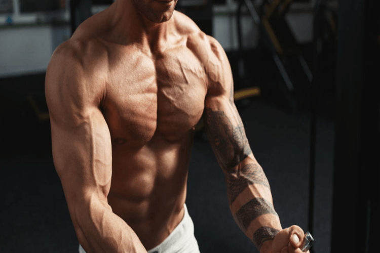 Sporda Güç Nedir?