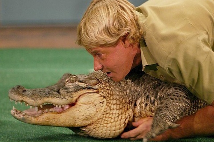 Steve Irwin Nasıl Öldü?