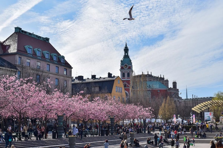 Stockholm Pahalı Bir Şehir Midir?