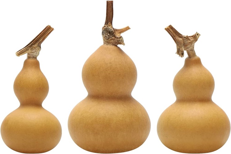 Su Kabağı Nasıl Kurutulur?