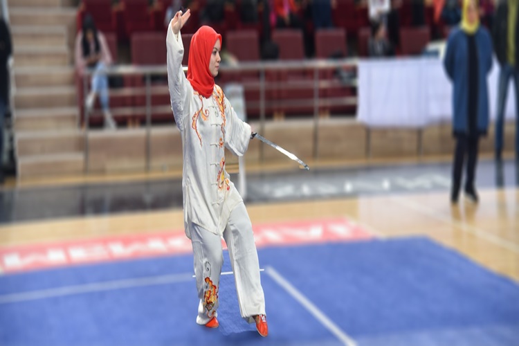 Tai Chi Tarihçesi