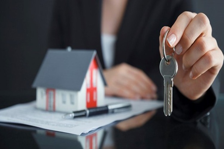 Tapu Durumu Bağ Bahçe Ne Demek? Güncel Oku