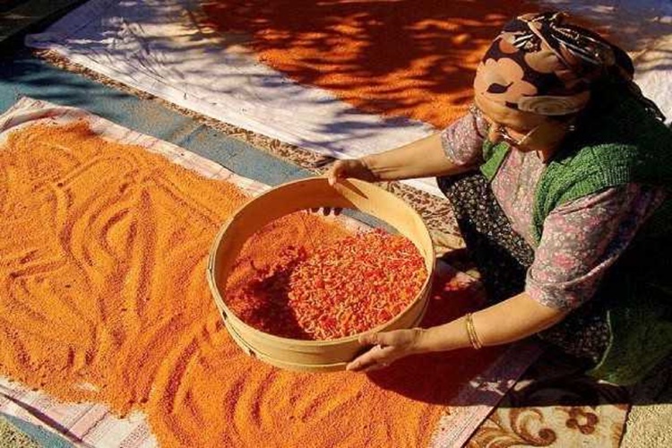 Tarhana Kaç Günde Kurur?