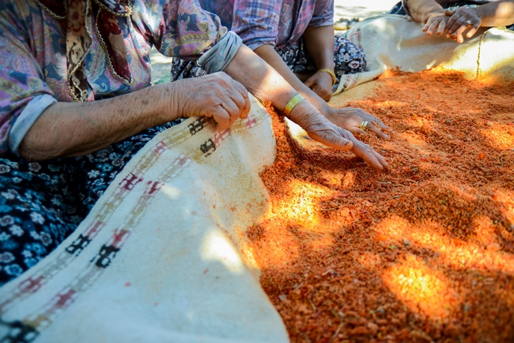 Tarhananın Ekşi Olmaması İçin Ne Yapmalı?