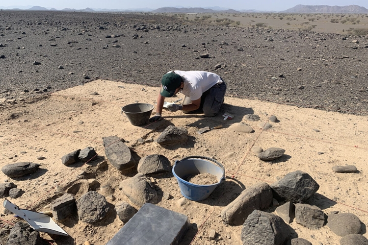 Taş Küre Nelerden Oluşur?