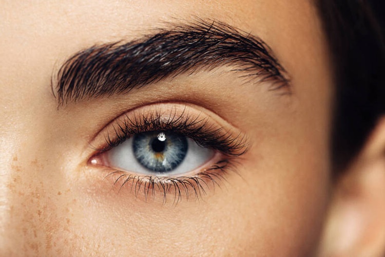 Tatlı Badem Yağı Kaşa Sürülür Mü?