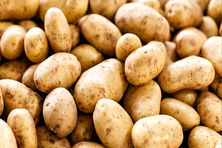 Tatlı Patates Bebeklere Verilir Mi?