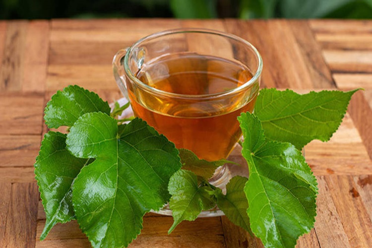 Taze Dut Yaprağı Çayı Nasıl Demlenir?