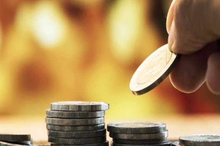 Tefe Hakkında Merak Edilen Bilgiler