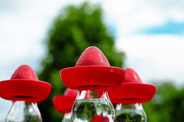 Tekilanın Üstüne Su İçilir Mi?