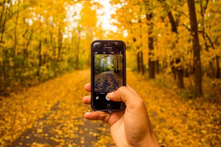  Telefon Kamera Çözünürlüğü Hakkında Sıkça Araştırılan Konular Nelerdir?