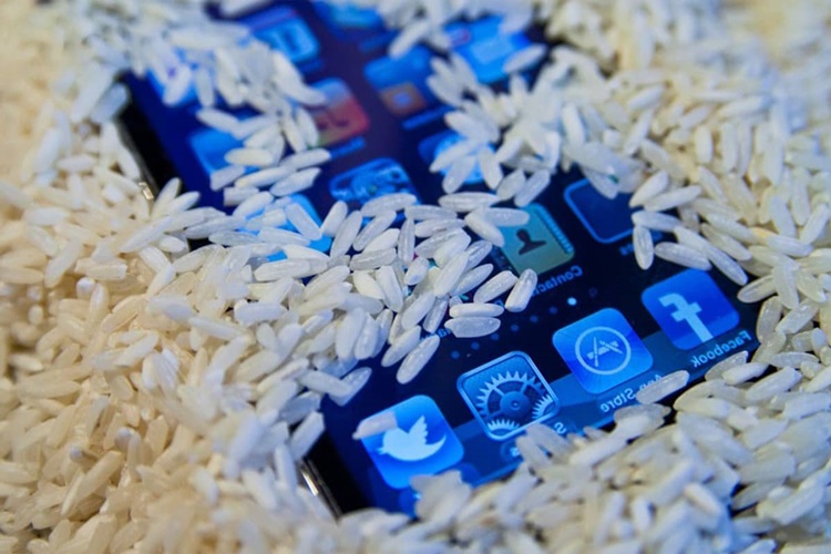 Telefon Neden Pirince Konur?