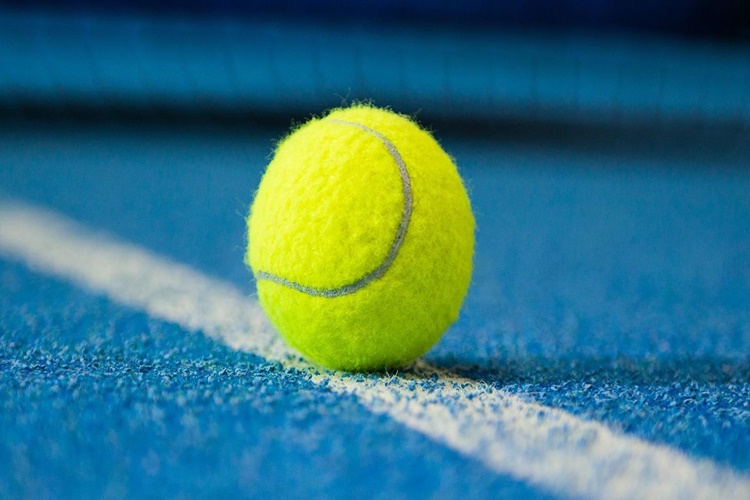 Tenis Lisansı Yenileme